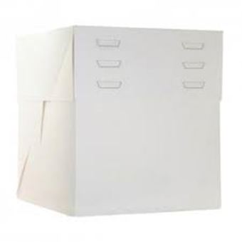 Picture of BOX EXTRA TALL 25 X 25 X 20  U